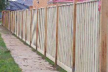 Timber paling fence
